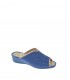 ZAPATILLAS SRA  PINTURINES AZUL
